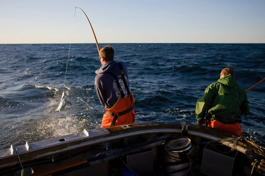 two men on a boat in the middle of ocean catching fish with a pole